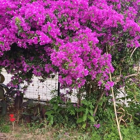 منزل الضيف Kastellanoi   في Garden House Kastellani المظهر الخارجي الصورة